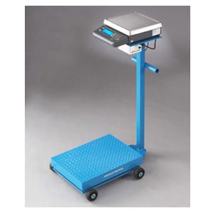 Portable Floor Scale